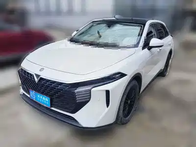 Venucia Big V 2022