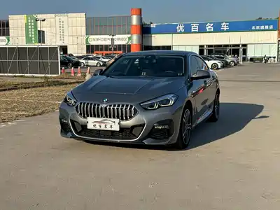BMW 2 Series (Import) 2024