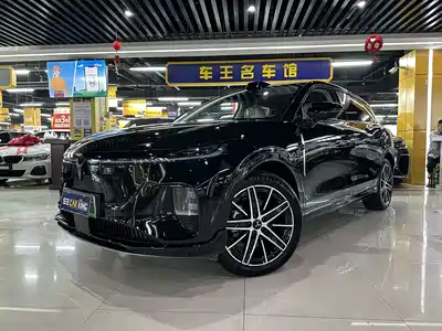 Voyah Auto Zhiyin 2025