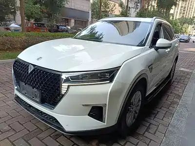 Venucia Star 2020