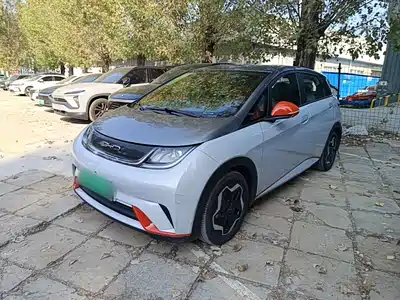 BYD Dolphin 2021