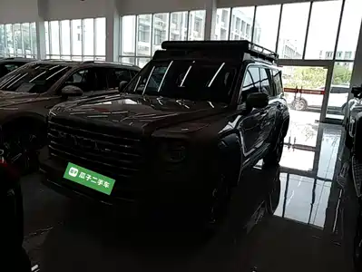 Haval Meng Long NEV 2023