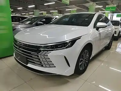 BYD Destroyer 05 2024