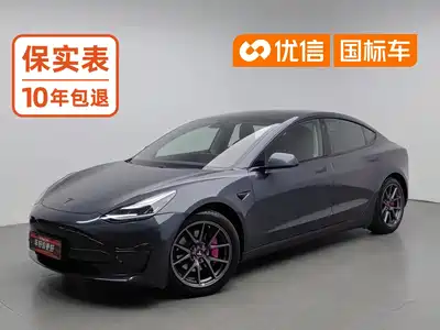 Tesla Model 3 (Import) 2019