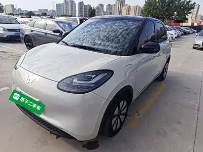 Wuling Motors Bingo 2024
