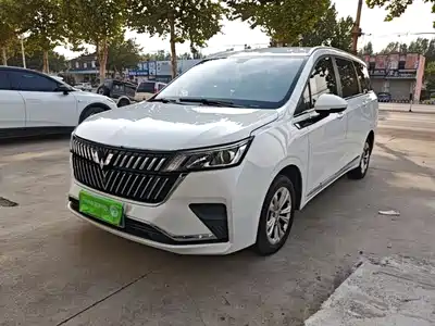 Wuling Motors Jiachen 2024