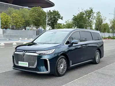 Voyah Auto Dreamer 2024