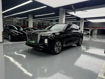 Hongqi E-HS9 2021