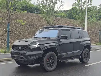 Mengshi 917 2024