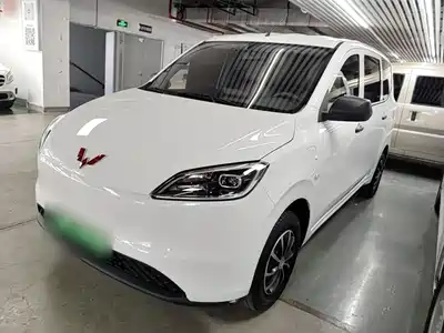 Wuling Motors Hongguang New Energy 2025