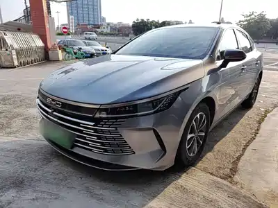 BYD Destroyer 05 2024