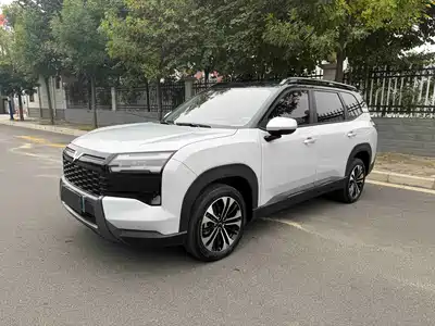 Wuling Motors Starlight 560 NEV 2025