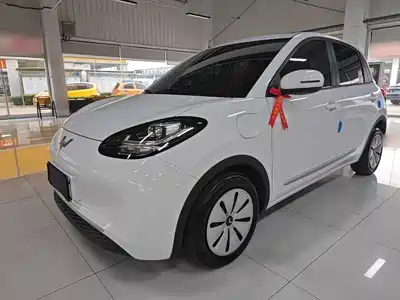 Wuling Motors Bingo 2024