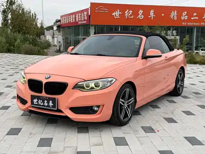 BMW 2 Series (Import) 2016