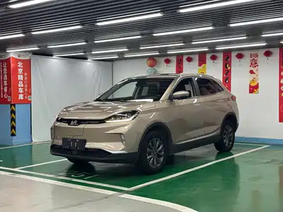 Weltmeister EX5 2019