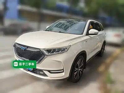 Changan Oshan X7 2021