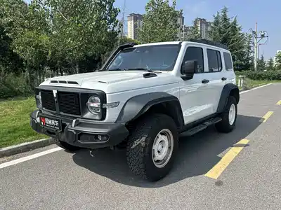 Tank 300 2024