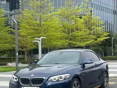 BMW 2 Series (Import) 2019
