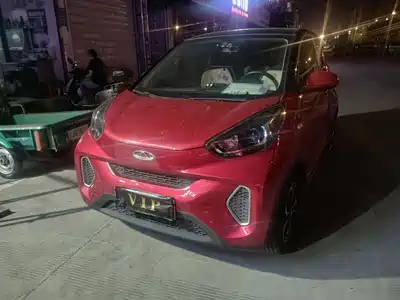 QQ New Energy Little Ant 2021