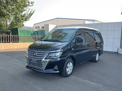 Dongfeng Fengxing Lingzhi 2023