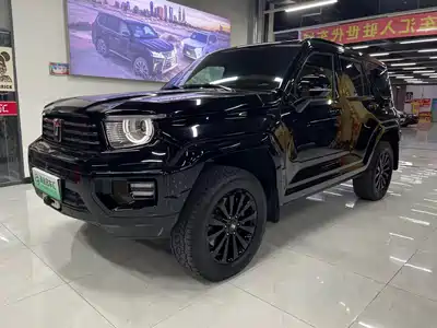 Tank 700 New Energy 2024