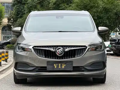 Buick GL6 2019