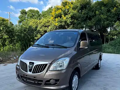 Foton Fengjing G5 2019