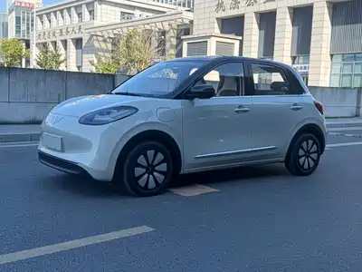 Wuling Motors Bingo 2024
