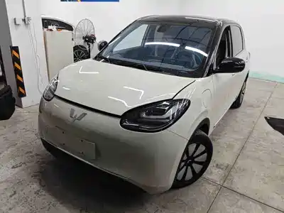 Wuling Motors Bingo 2024