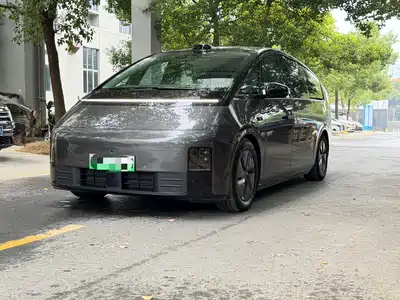 Li Auto MEGA 2024