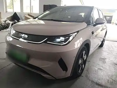 BYD Dolphin 2025