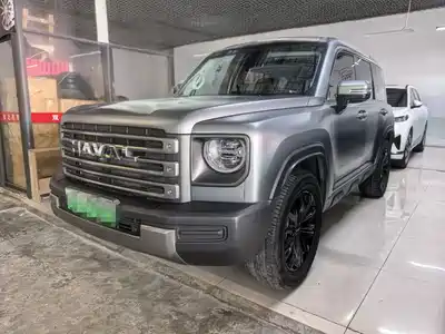 Haval Meng Long NEV 2025