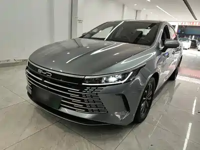 BYD Destroyer 05 2024