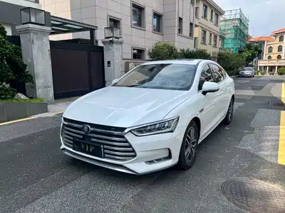 BYD Qin Pro New Energy 2019