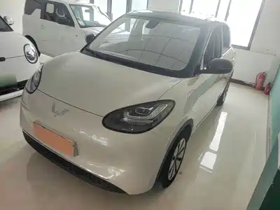 Wuling Motors Bingo 2024