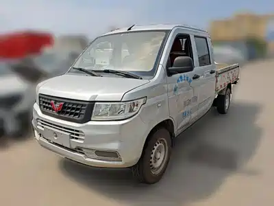Wuling Motors Rongguang New Truck 2019
