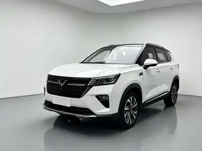 Wuling Motors Xingchen 2023
