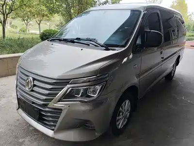 Dongfeng Fengxing Lingzhi 2020
