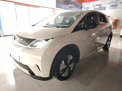 BYD Dolphin 2023