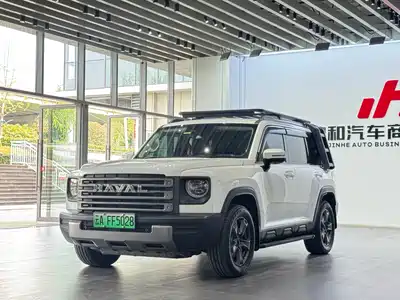 Haval Meng Long NEV 2024
