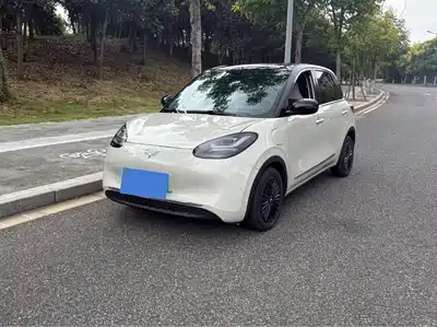Wuling Motors Bingo 2024