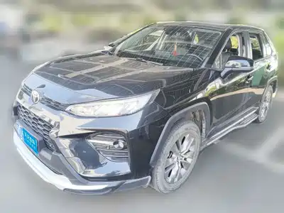 Toyota Wildlander 2022