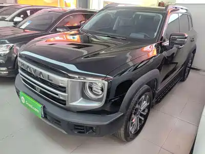 Haval Big Dog 2024