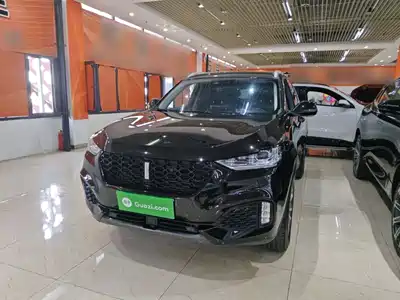 WEY VV6 2019