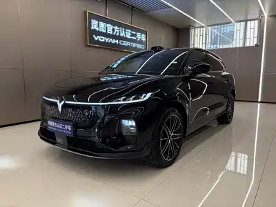 Voyah Auto Zhiyin 2025
