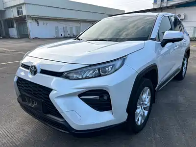 Toyota Wildlander 2022