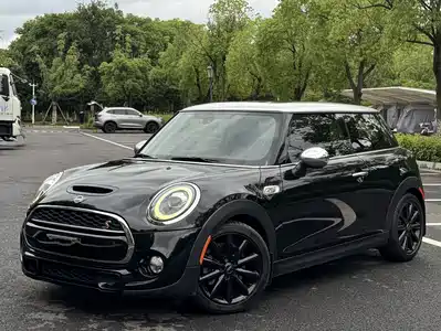 MINI MINI 2019