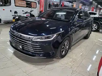 BYD Destroyer 05 2024