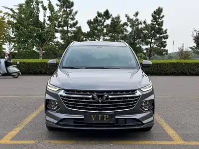 Wuling Motors Victory 2021