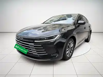 BYD Destroyer 05 2024